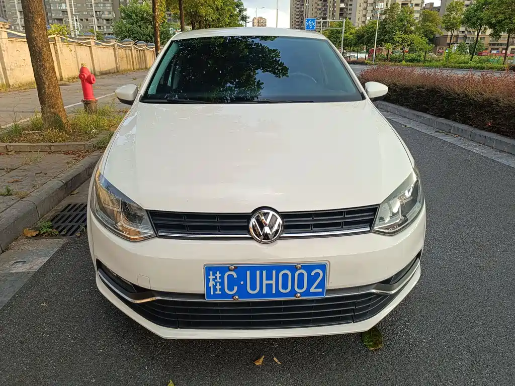 Volkswagen Polo 2014