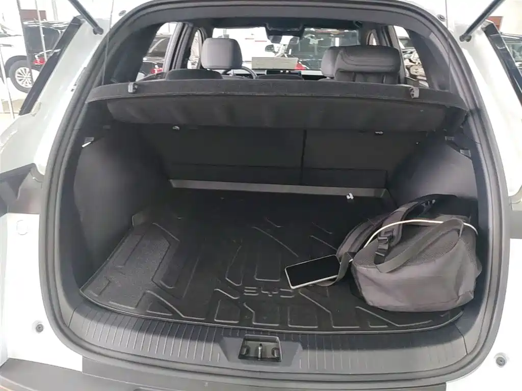 BYD Pro New Energy 2025 — фото 18