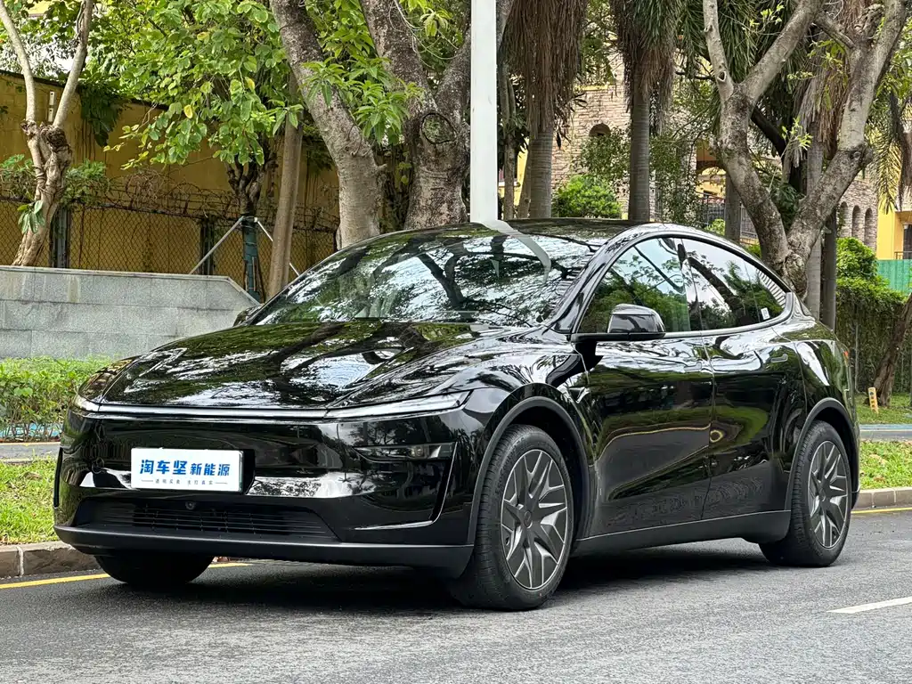 Tesla Model Y L 2025