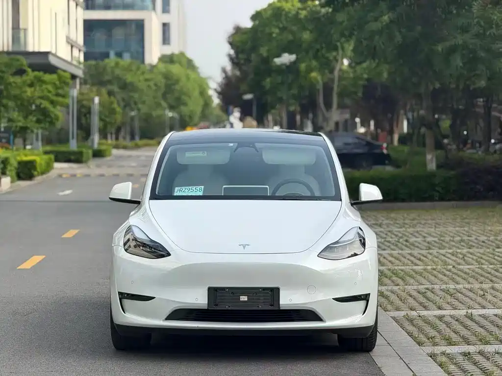 Tesla Model Y 2021 — фото 2