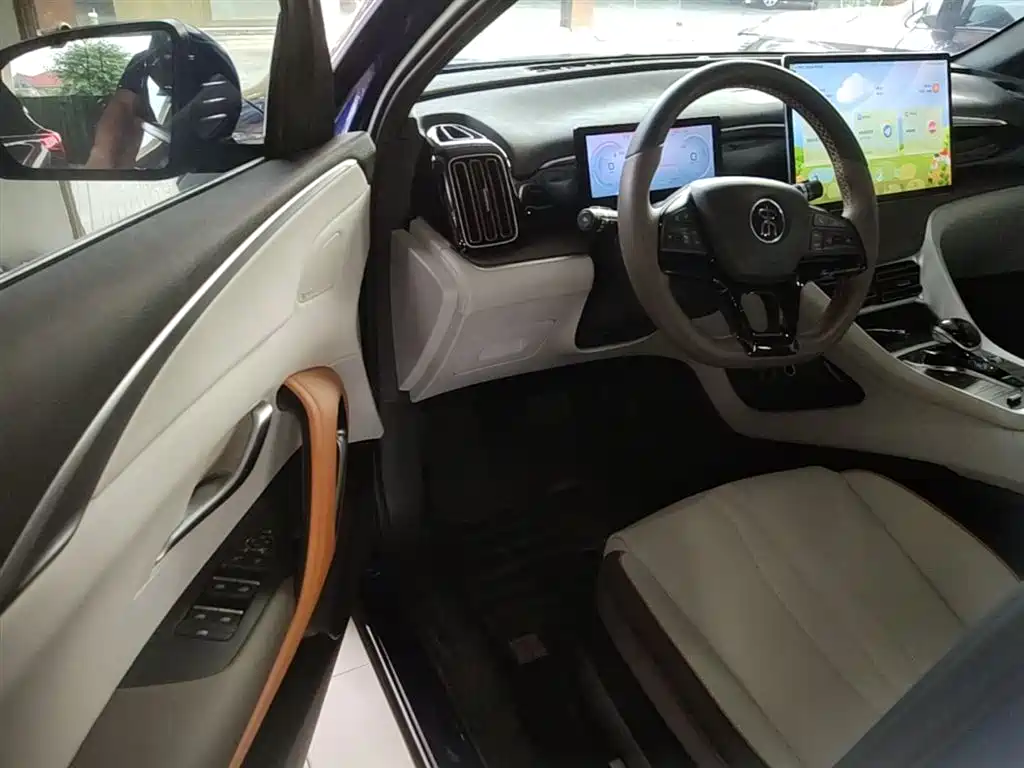 BYD Pro New Energy 2022 — фото 15