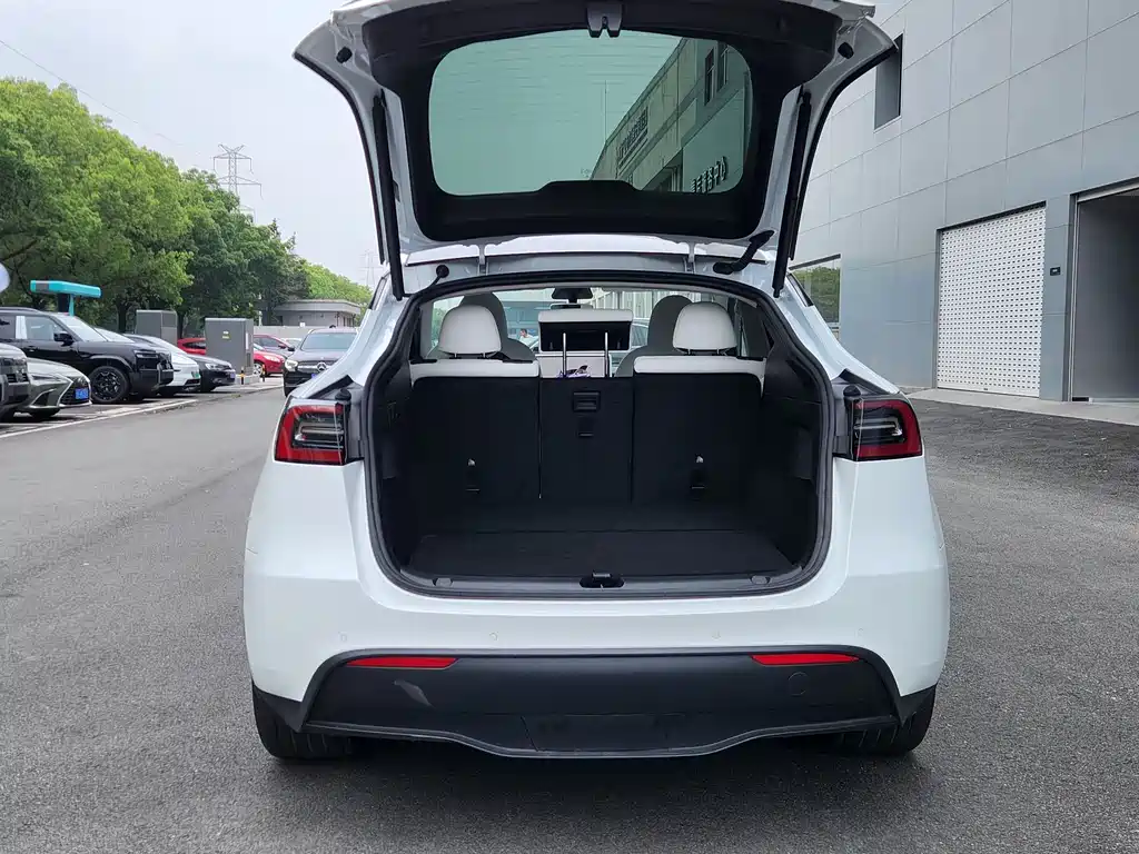 Tesla Model Y 2024 — фото 9
