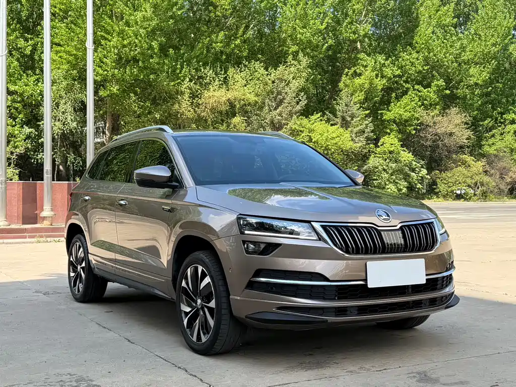 Skoda Karoq 2022 — фото 3