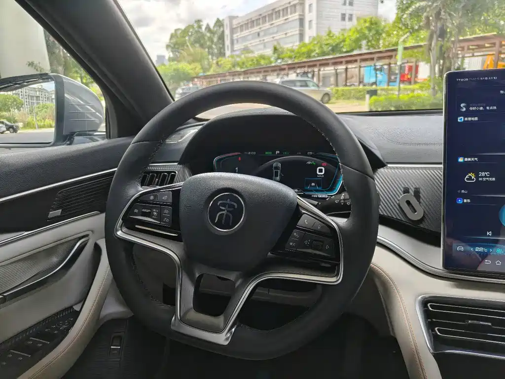 BYD PLUS New Energy 2022 — фото 16