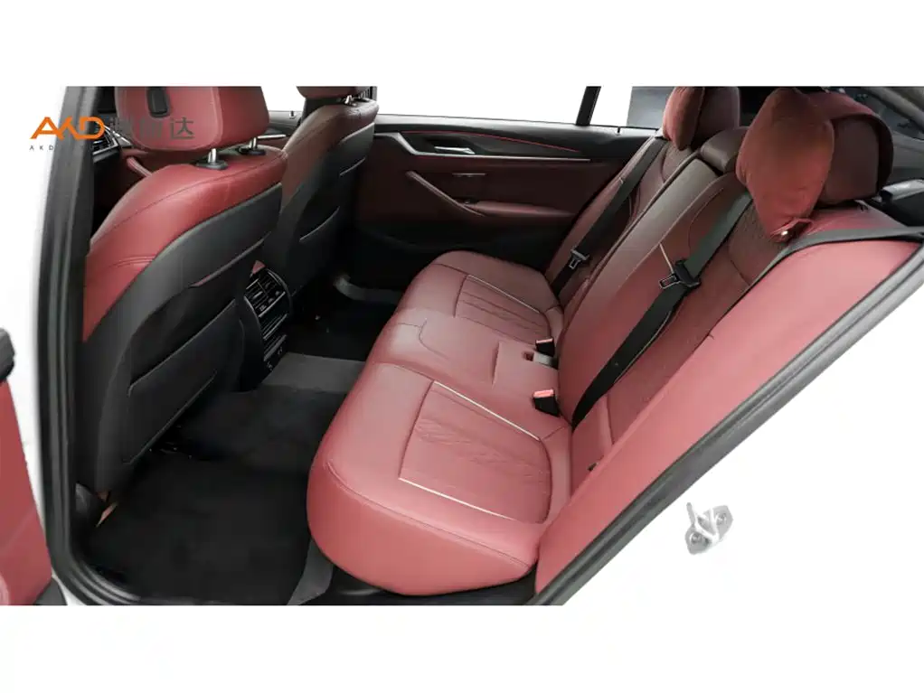 BMW 5 Series 2021