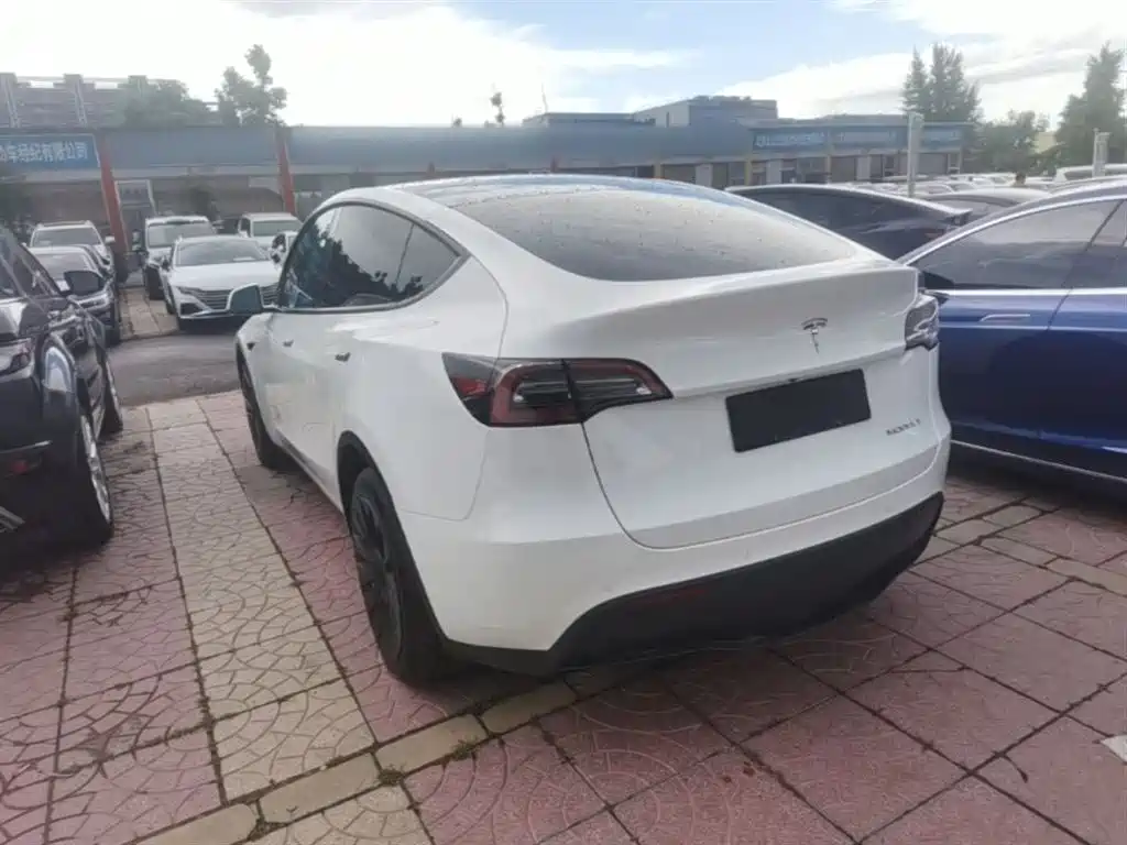 Tesla Model Y 2021 — фото 5