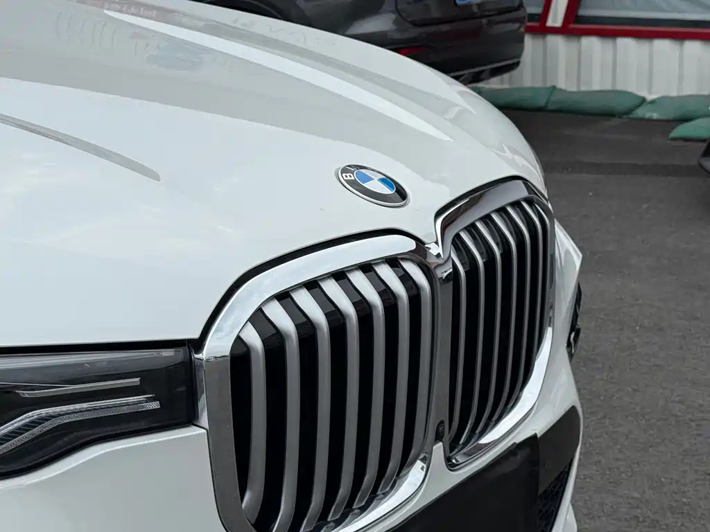 BMW X7 2020 — фото 6