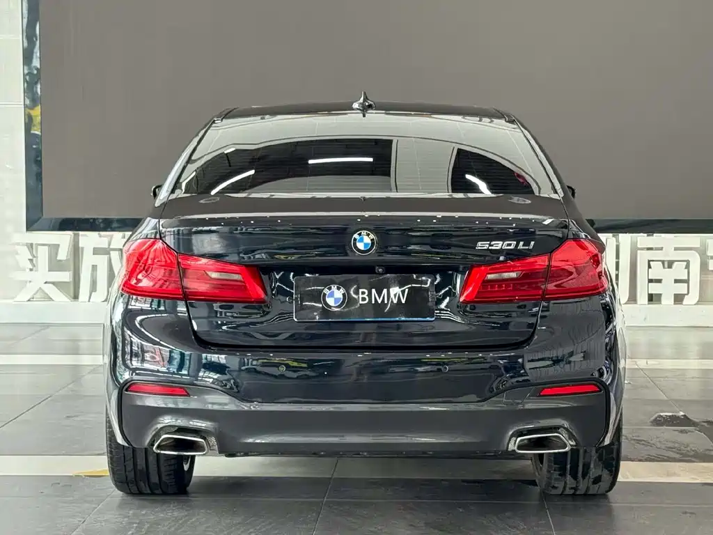 BMW 5 Series 2019 — фото 8