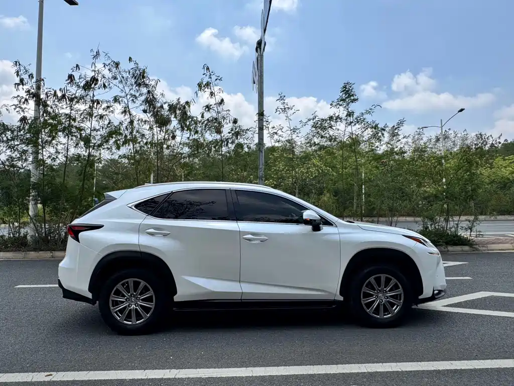 Lexus NX 2017 — фото 13