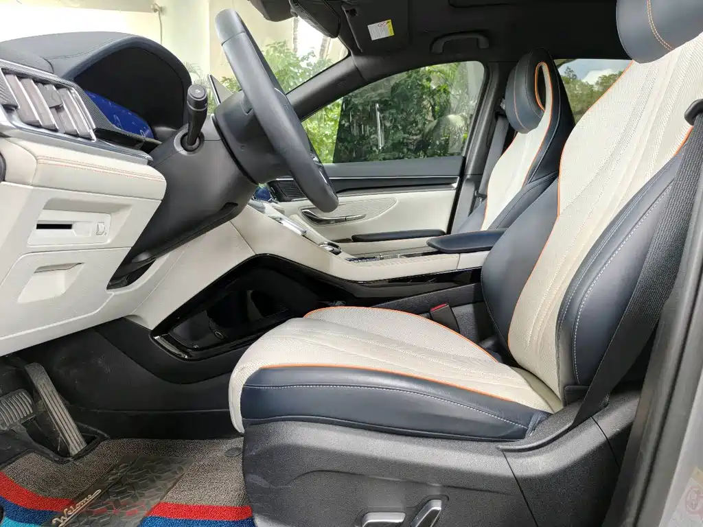 BYD PLUS New Energy 2022 — фото 13