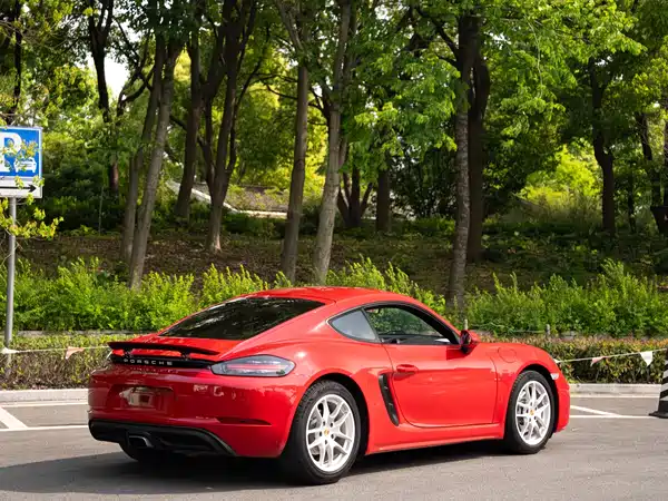 Porsche 718 2017