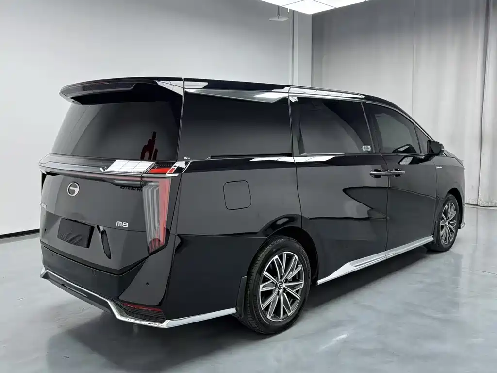 GAC Motor Trumpchi M8 2024 — фото 20
