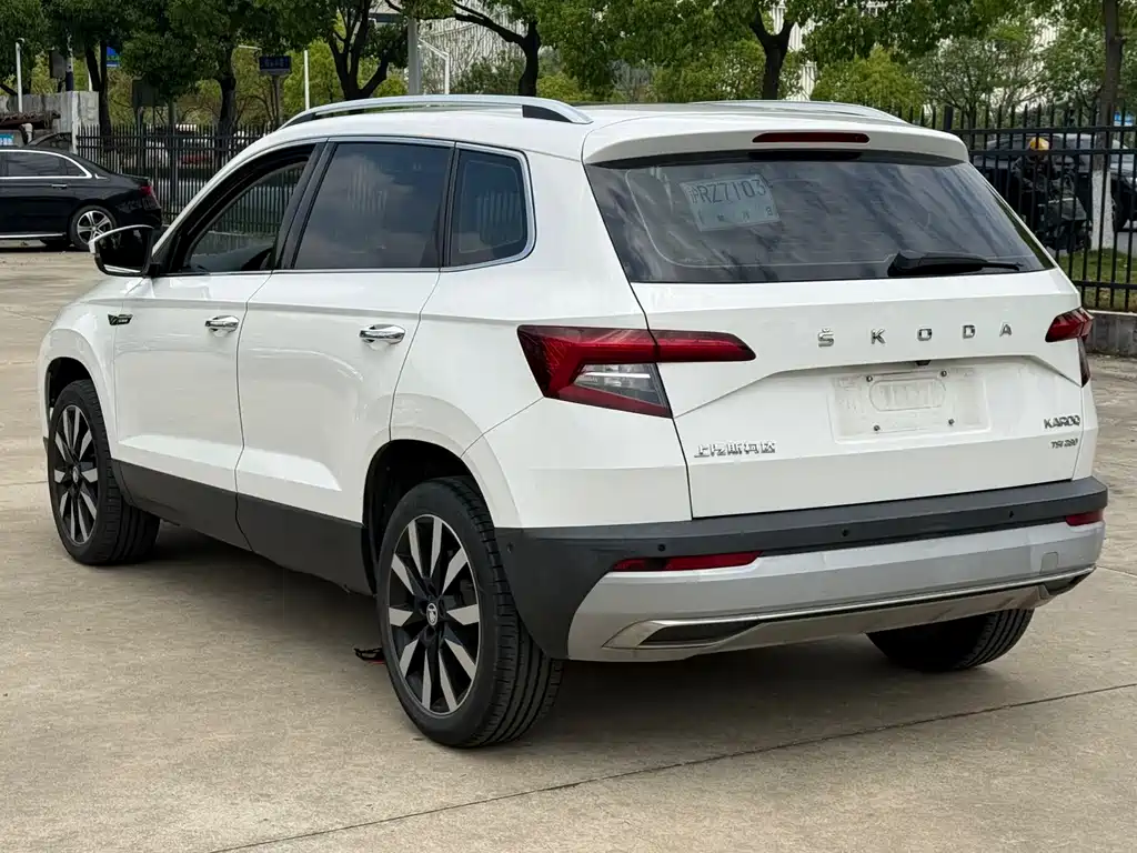 Skoda Karoq 2020 — фото 5