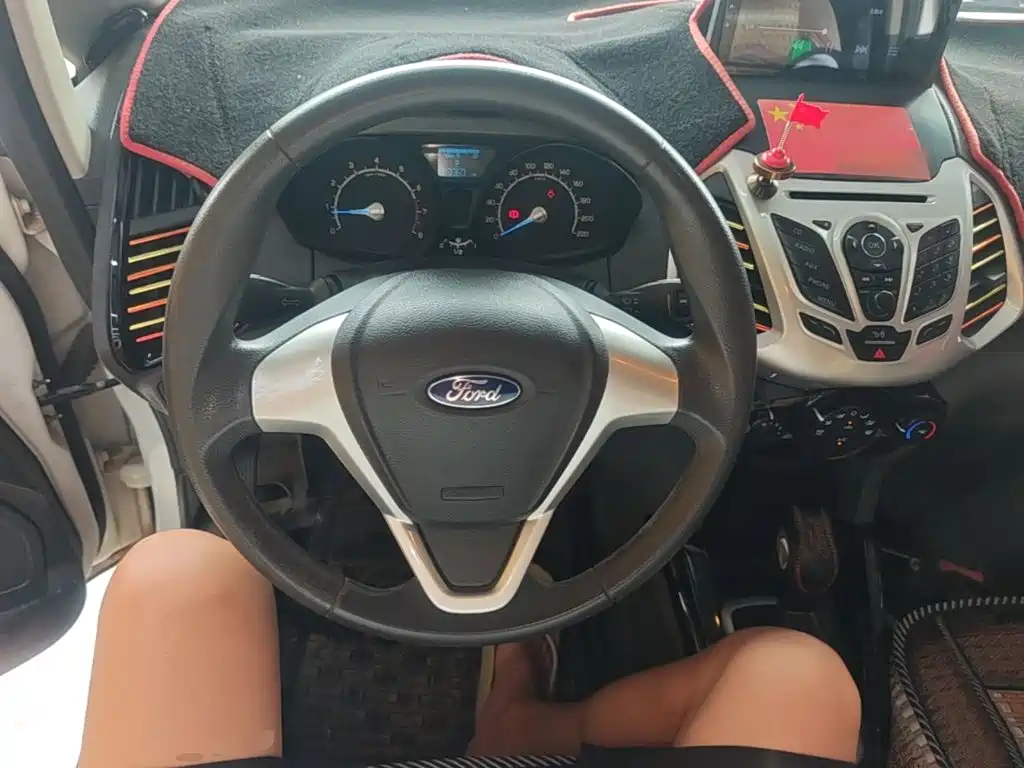 Ford EcoSport 2014 — фото 11