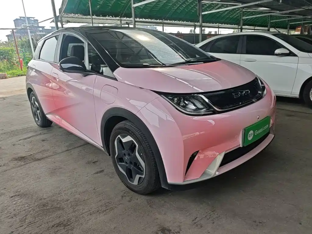 BYD Dolphin 2022
