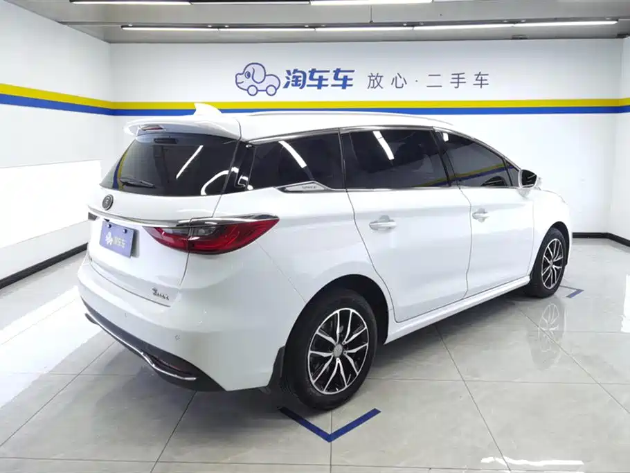 BYD MAX 2018