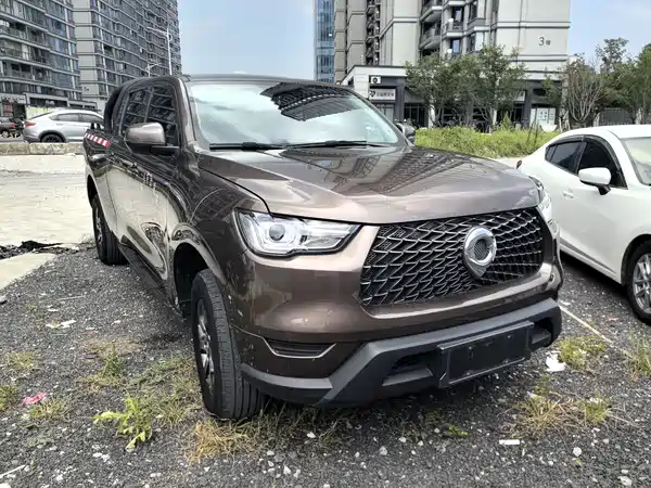 Great Wall Poer 2023