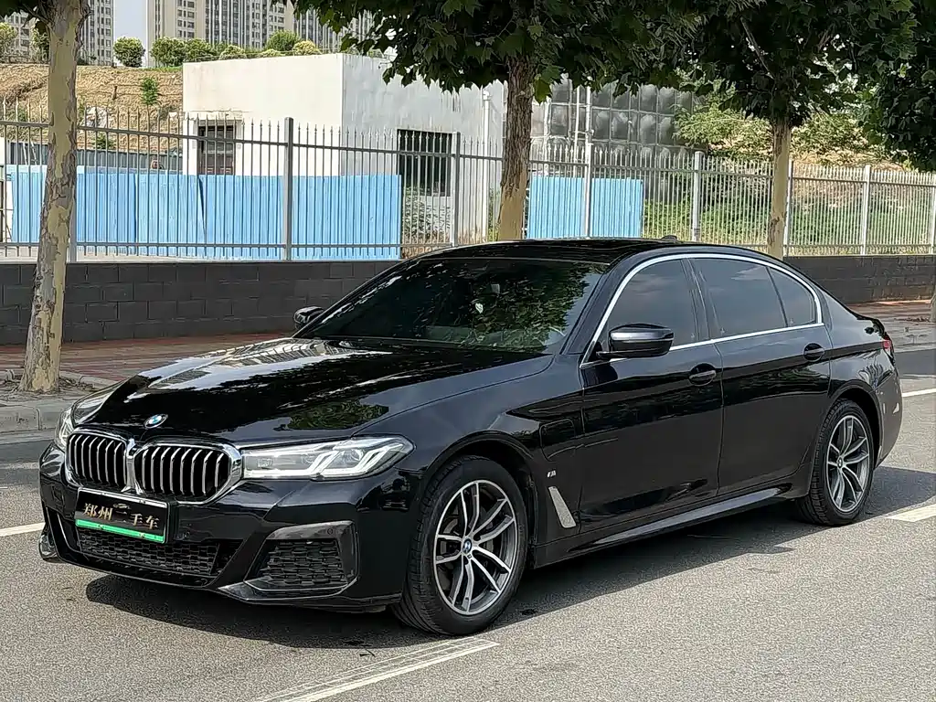 BMW 5 Series New Energy 2022