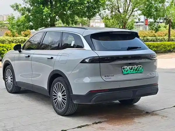 Chery Fengyun T9 2024