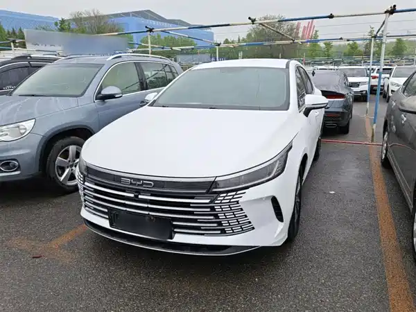 BYD Destroyer 05 2024