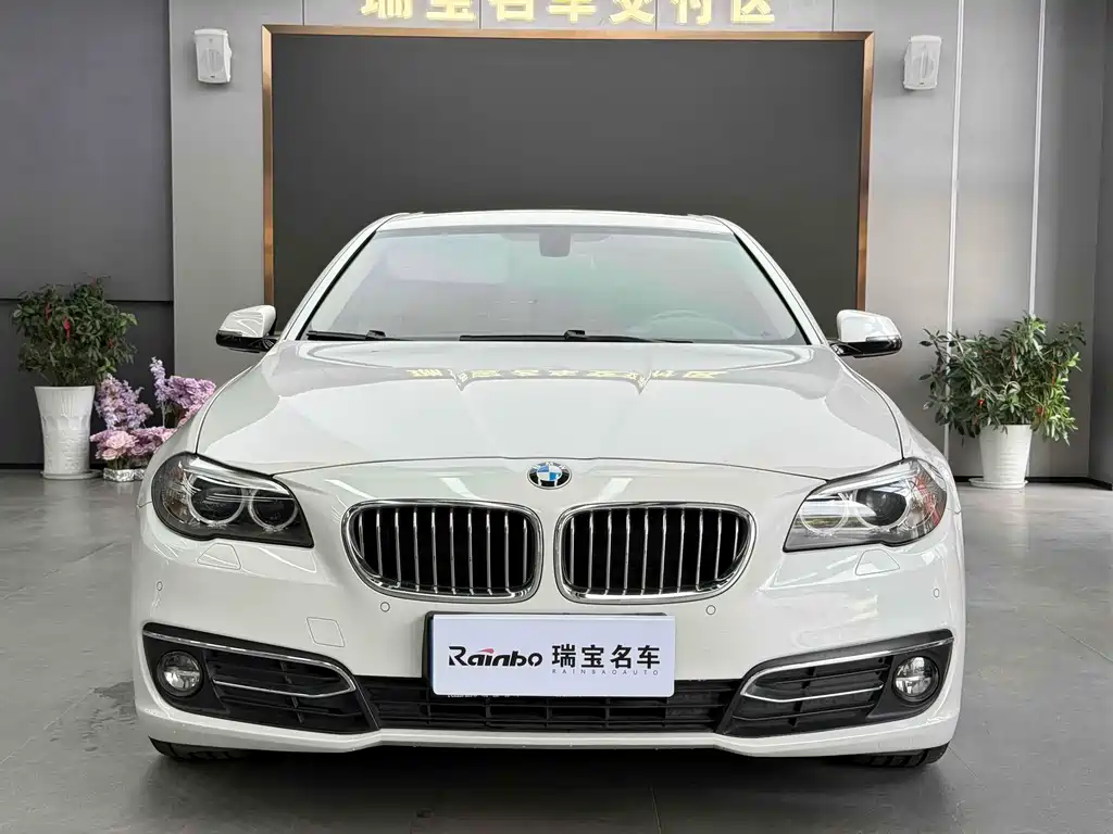 BMW 5 Series 2016 — фото 2
