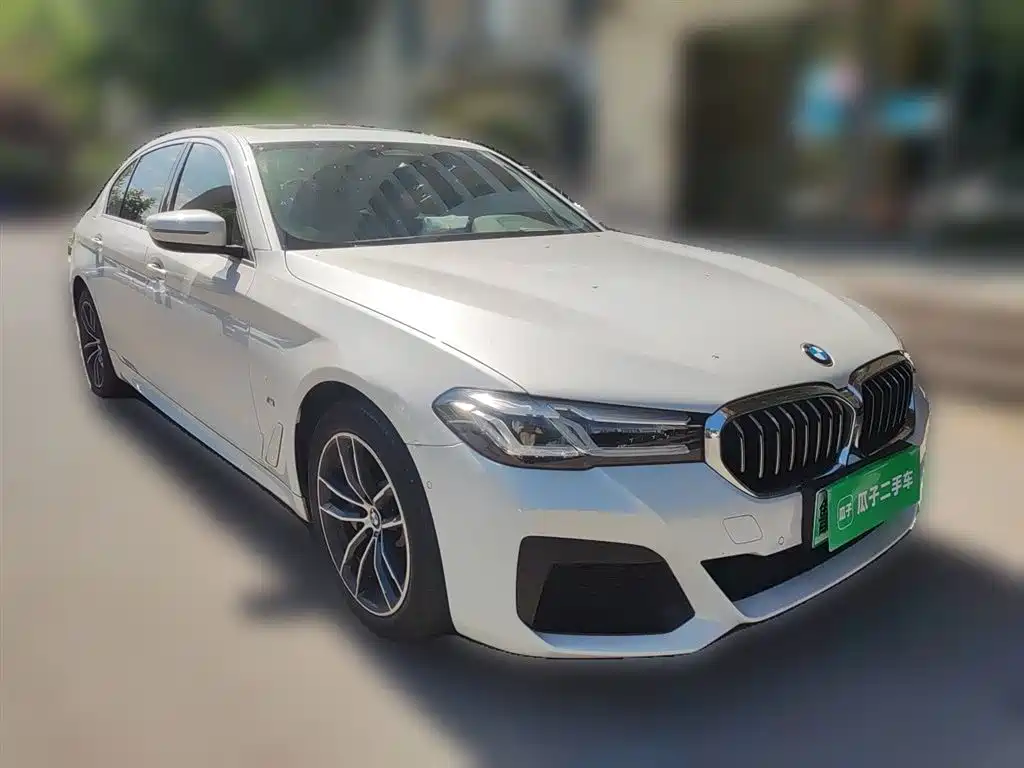 BMW 5 Series New Energy 2021 — фото 3