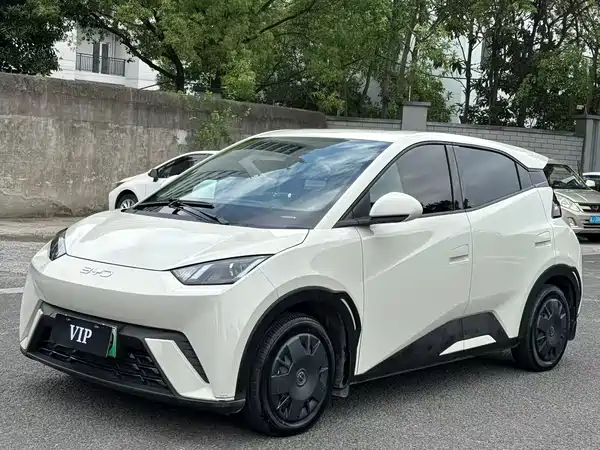 BYD Seagull 2024