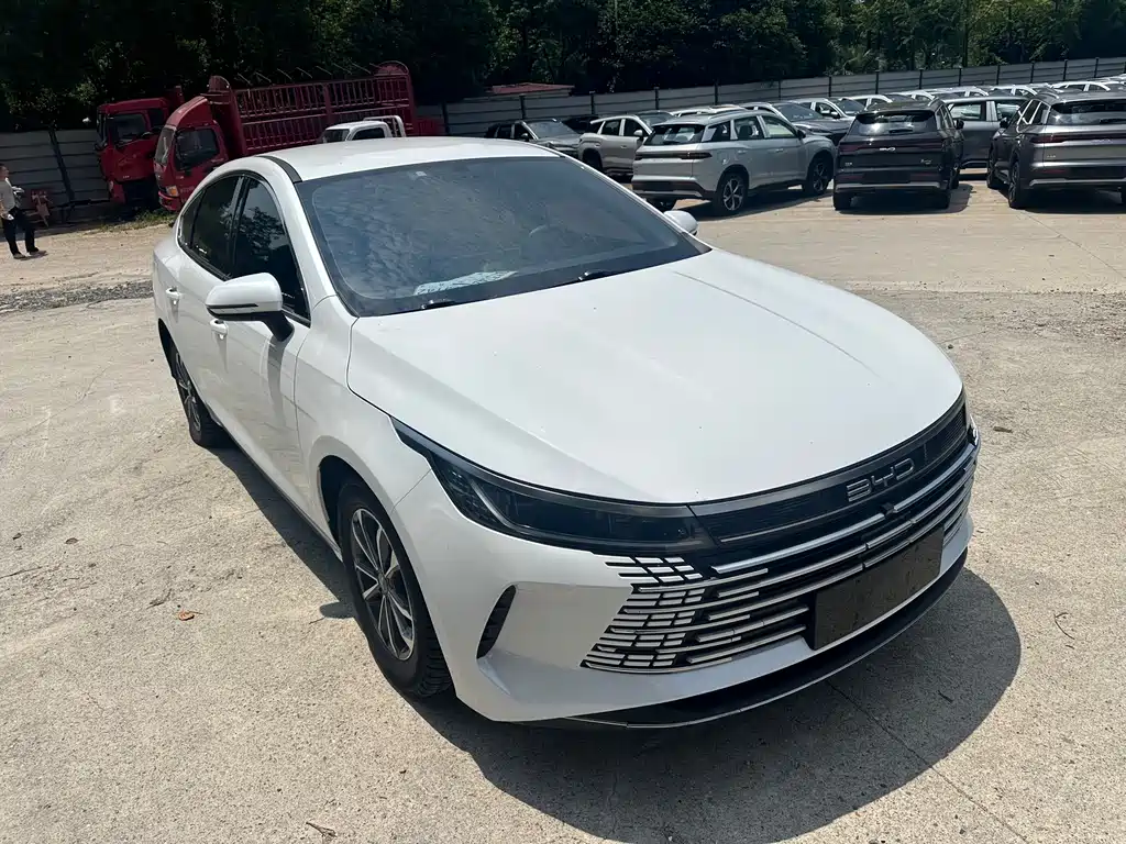 BYD Destroyer 05 2023 — фото 2