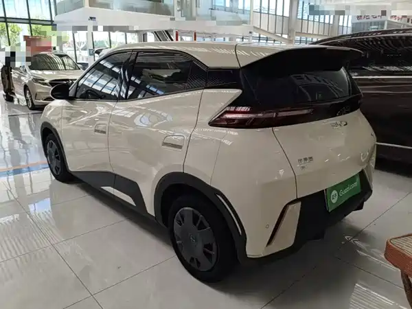 BYD Seagull 2024