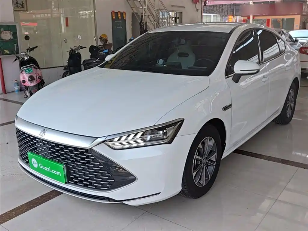 BYD Qin PLUS 2024 — фото 1