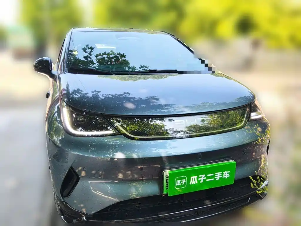 BYD Dolphin 2026