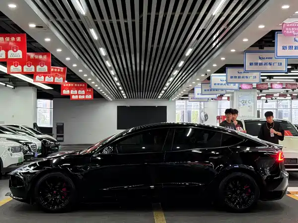 Tesla Model 3 2025