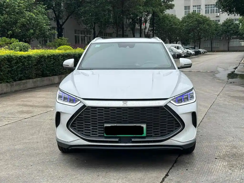 BYD PLUS New Energy 2021 — фото 2