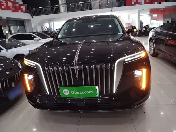 Hongqi E-HS9 2023