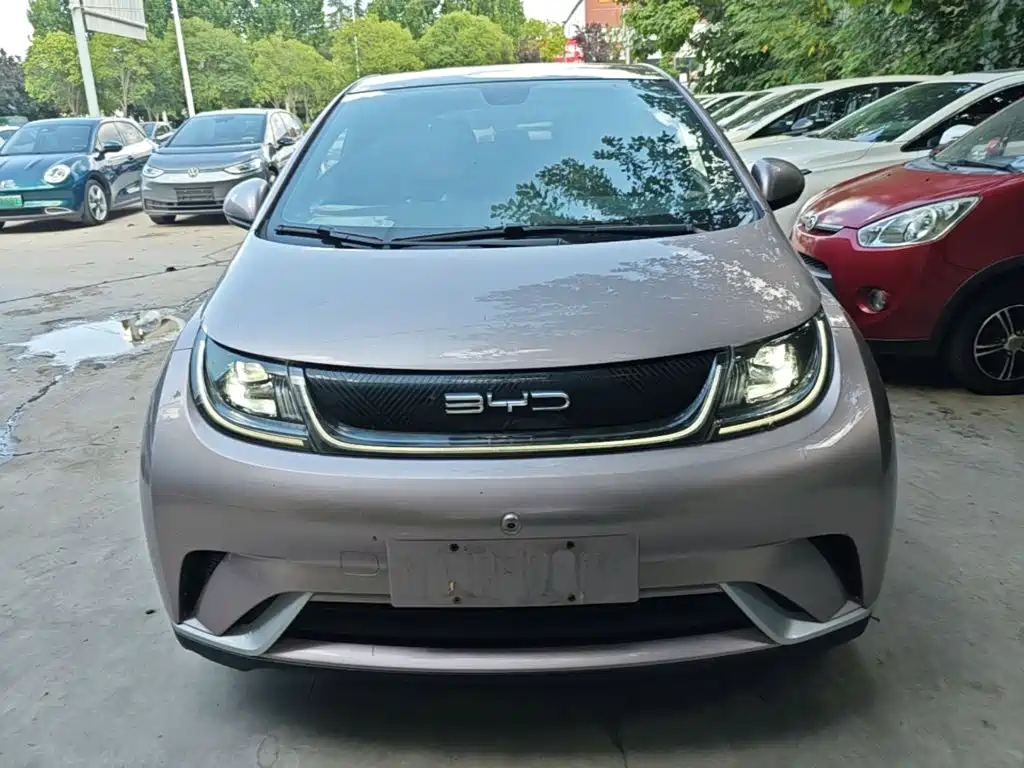 BYD Dolphin 2022