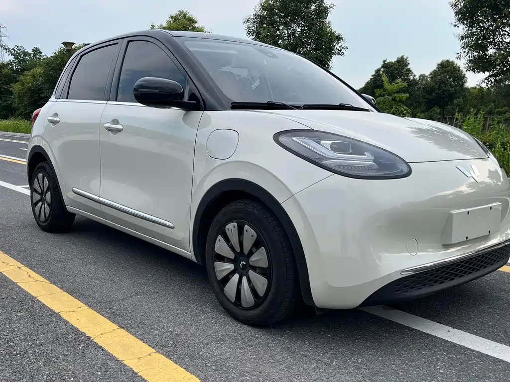 Wuling Bingo 2024