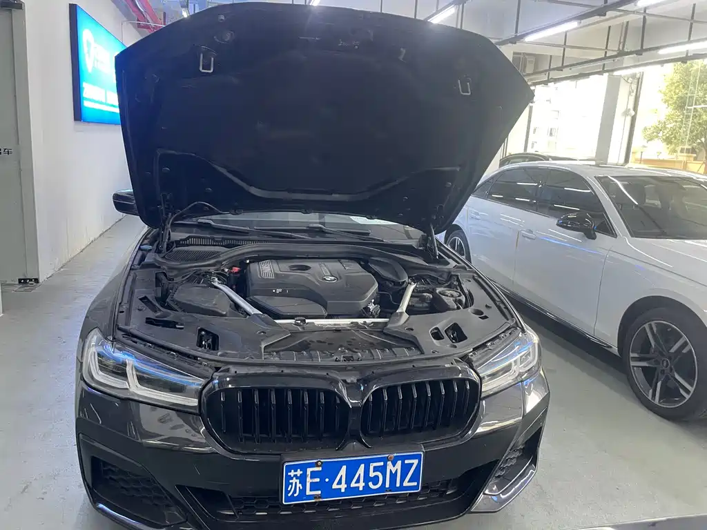 BMW 5 Series 2019 — фото 29