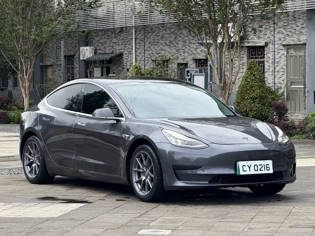 Tesla Model 3 2021 — фото 3