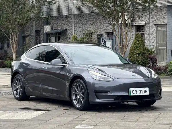 Tesla Model 3 2021