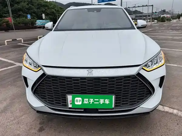 BYD Song PLUS New Energy 2021