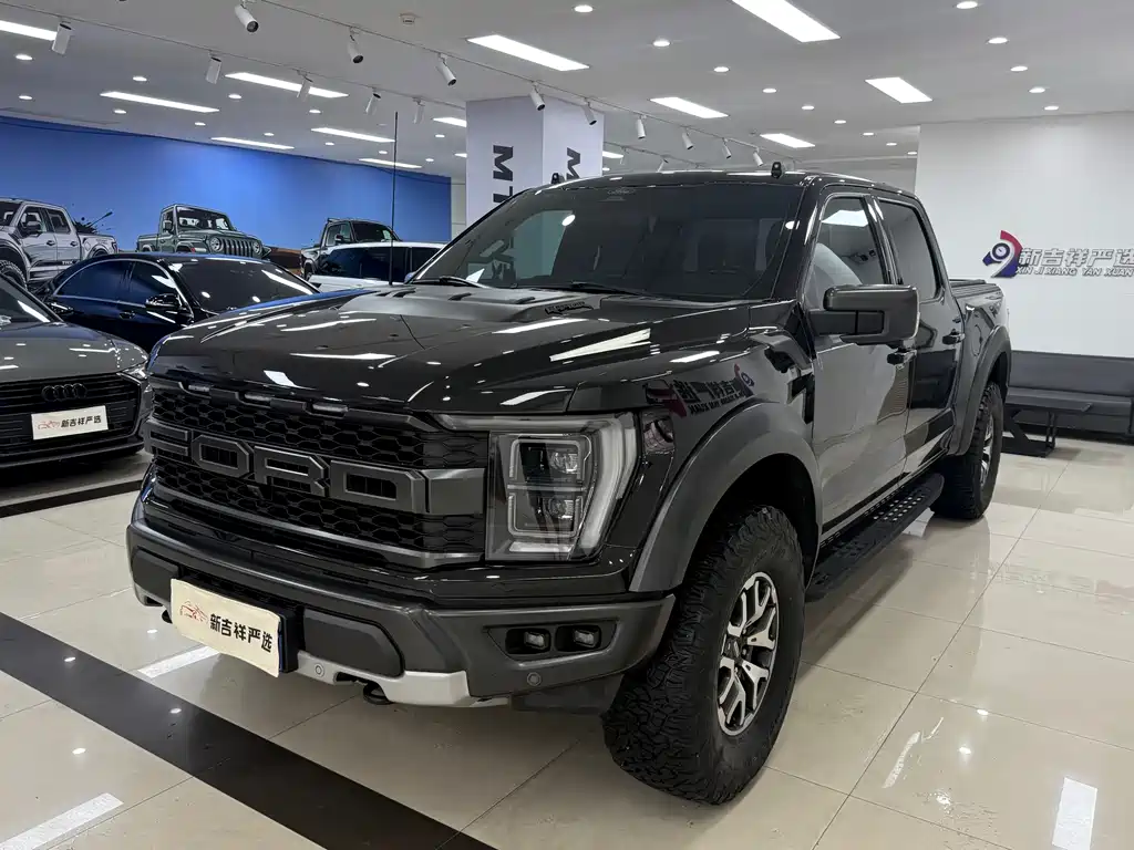 Ford F-150 Raptor 2024 — фото 3
