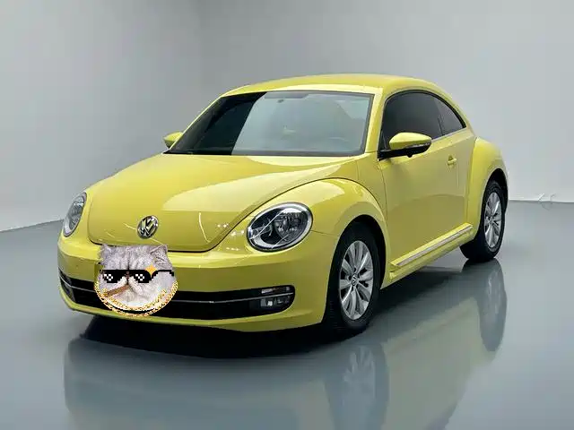 Volkswagen Beetle 2013