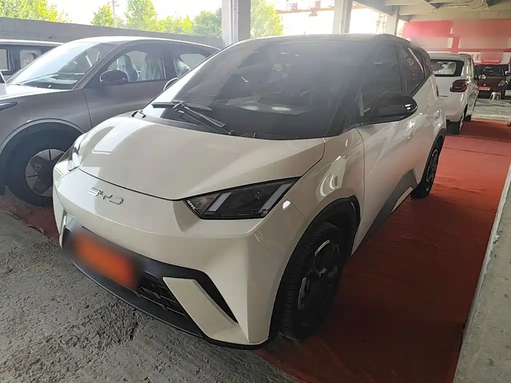 BYD Seagull 2024