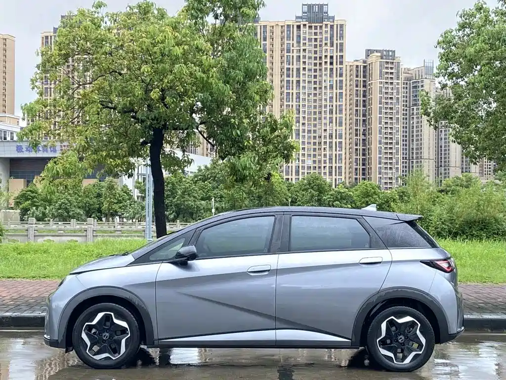 BYD Dolphin 2022