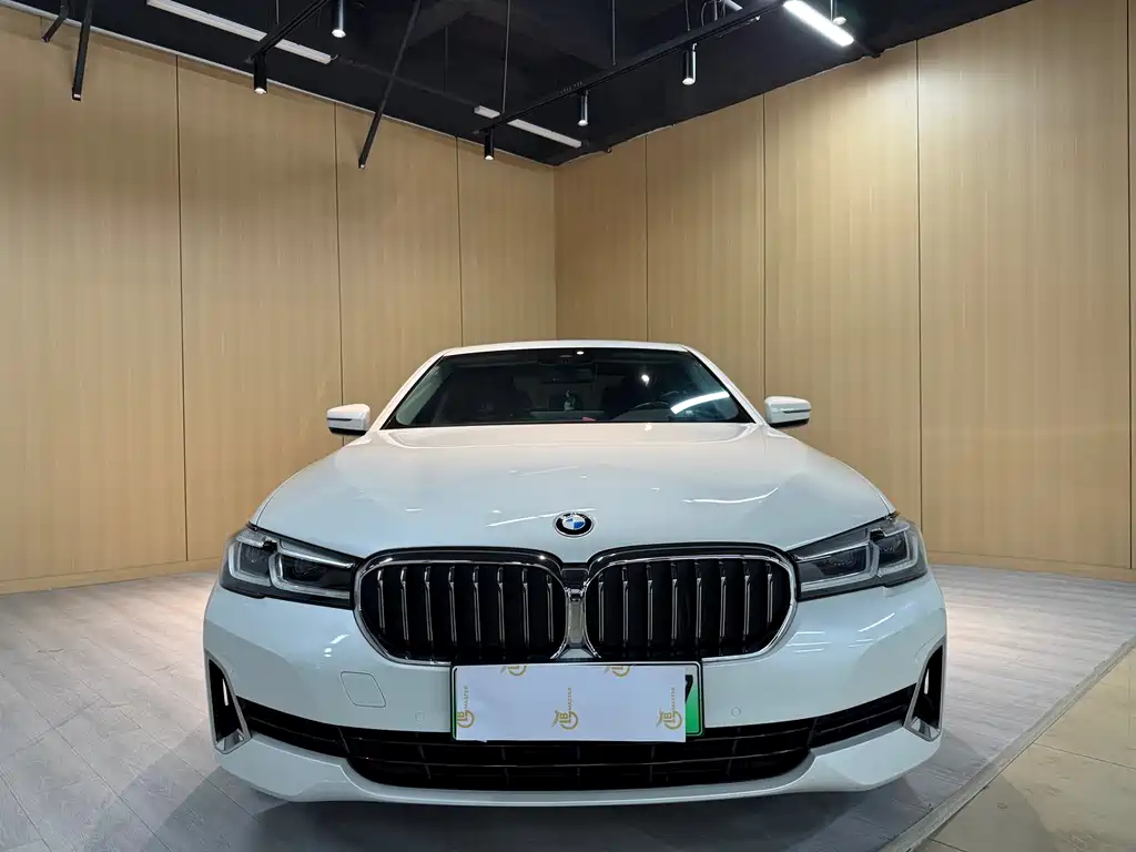 BMW 5 Series New Energy 2021 — фото 2