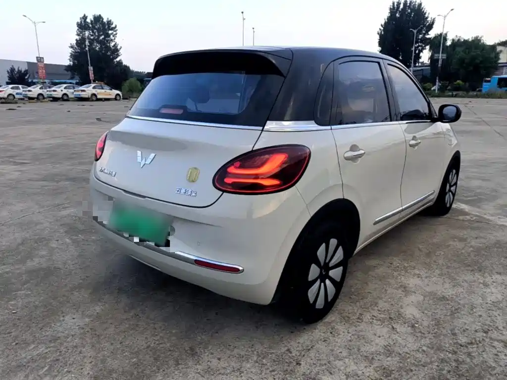 Wuling Bingo 2024