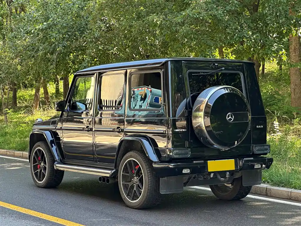 Mercedes-Benz G-Class 2018 — фото 18