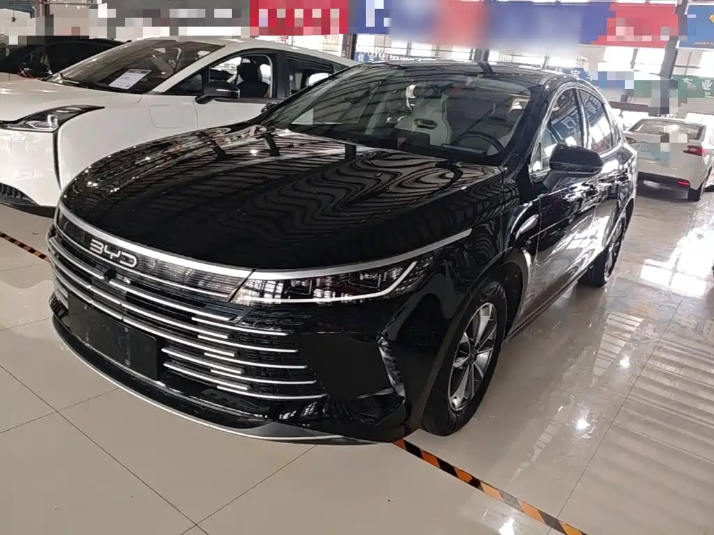 BYD Destroyer 05 2024 — фото 1