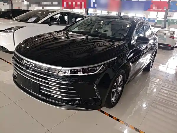 BYD Destroyer 05 2024