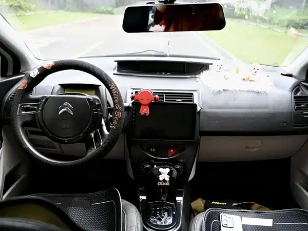 Citroën Sega 2015
